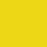 017 Světle žlutá